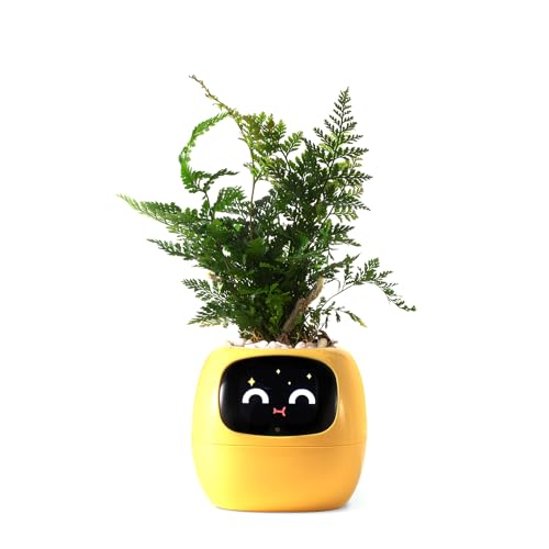 کاشت هوشمند حیوانات خانگی PLANTSIO، راهنمای مراقبت از گیاه ربات با ایموجی، همراه گیاه