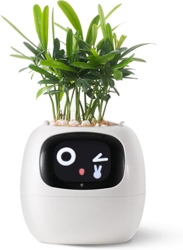 ربات هوشمند PLANTSIO کاشت حیوانات خانگی برای راهنمایی مراقبت از گیاه، همراه با گیاه شایان