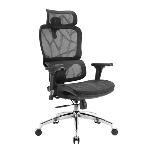 صندلی اداری ارگونومیک سیهو SIHOO M56B (مشکی)