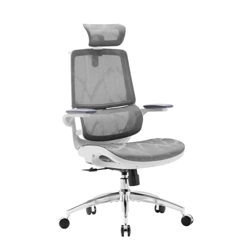 صندلی اداری ارگونومیک سیهو SIHOO M59AS-M301 (خاکستری)